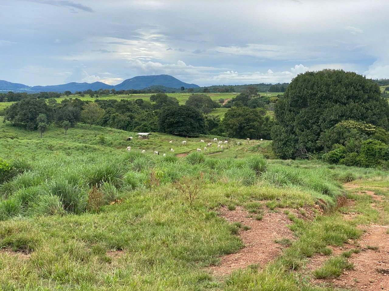 Vista Panorâmica da Fazenda