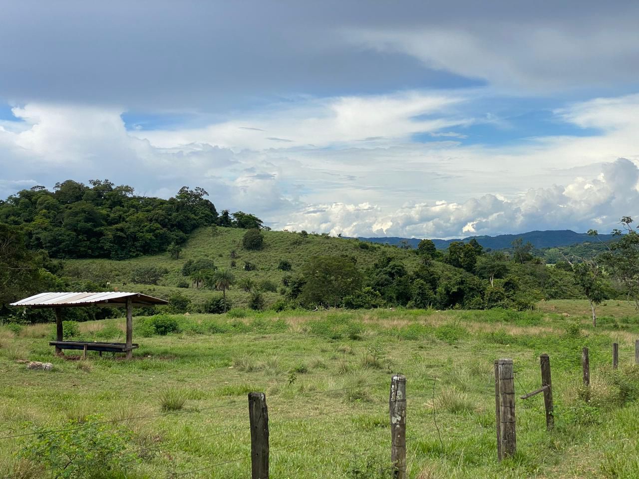 Área Verde