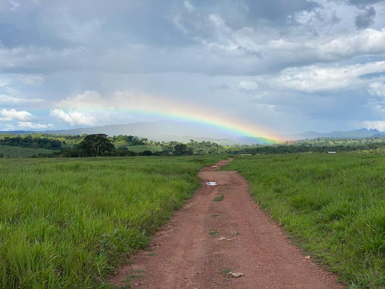 Vista da Propriedade