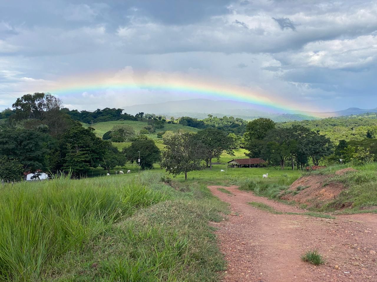 Área de Preservação