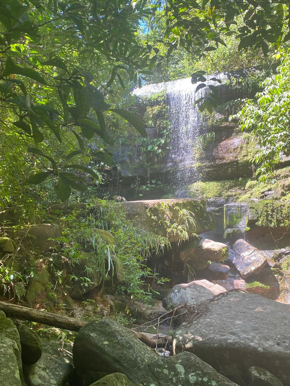 Cachoeira em meio à mata nativa preservada da Fazenda Shangrila