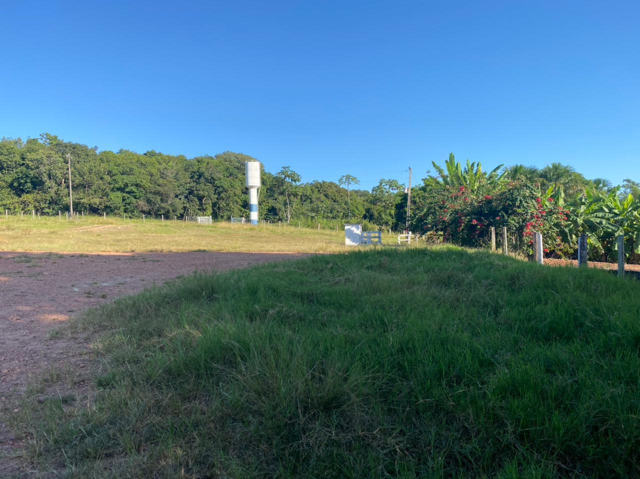Reservatório elevado de água da fazenda com vegetação ao redor